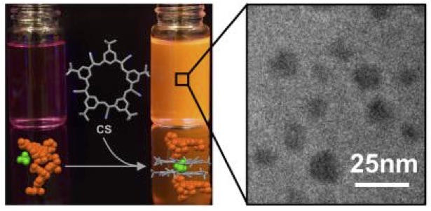 Ultra-Bright Fluorescent Organic Nanoparticles Based on Small-Molecule Ionic Isolation Lattices