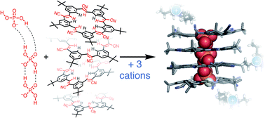 Phosphate-phosphate oligomerization drives higher order co-assemblies with stacks of cyanostar macrocycles