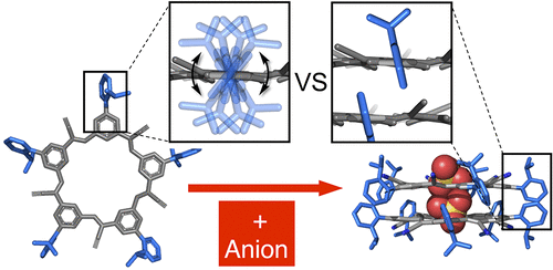 Programmed Negative Allostery with Guest-selected Rotamers Control Anion-anion Complexes of Stackable Macrocycles